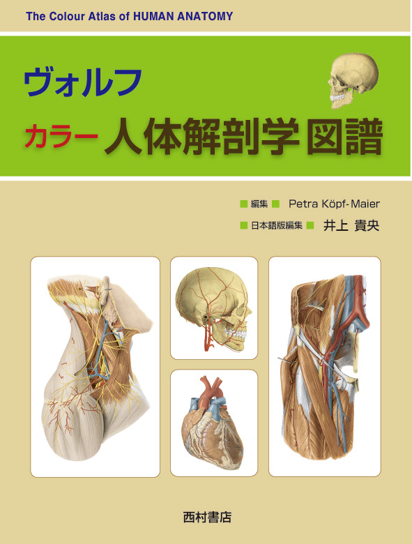 ヴォルフ カラー人体解剖学図譜 | 西村書店